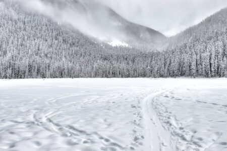découvrez tout sur la neige : conditions, sports d'hiver, conseils et astuces pour profiter pleinement de la saison enneigée.