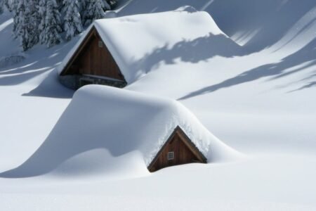 découvrez tout sur la neige : activités hivernales, prévisions météorologiques, conseils de sécurité et bien plus encore pour profiter pleinement de l'hiver.