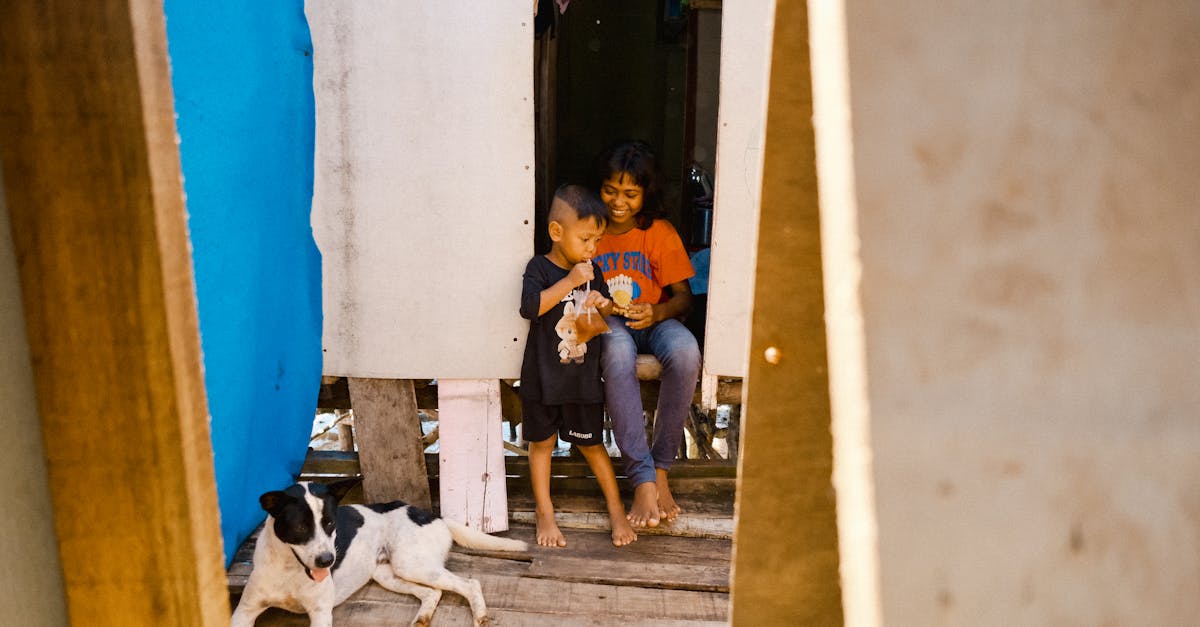 découvrez les solutions de logement social pour un habitat accessible et inclusif, offrant des logements abordables et adaptés aux besoins de tous.