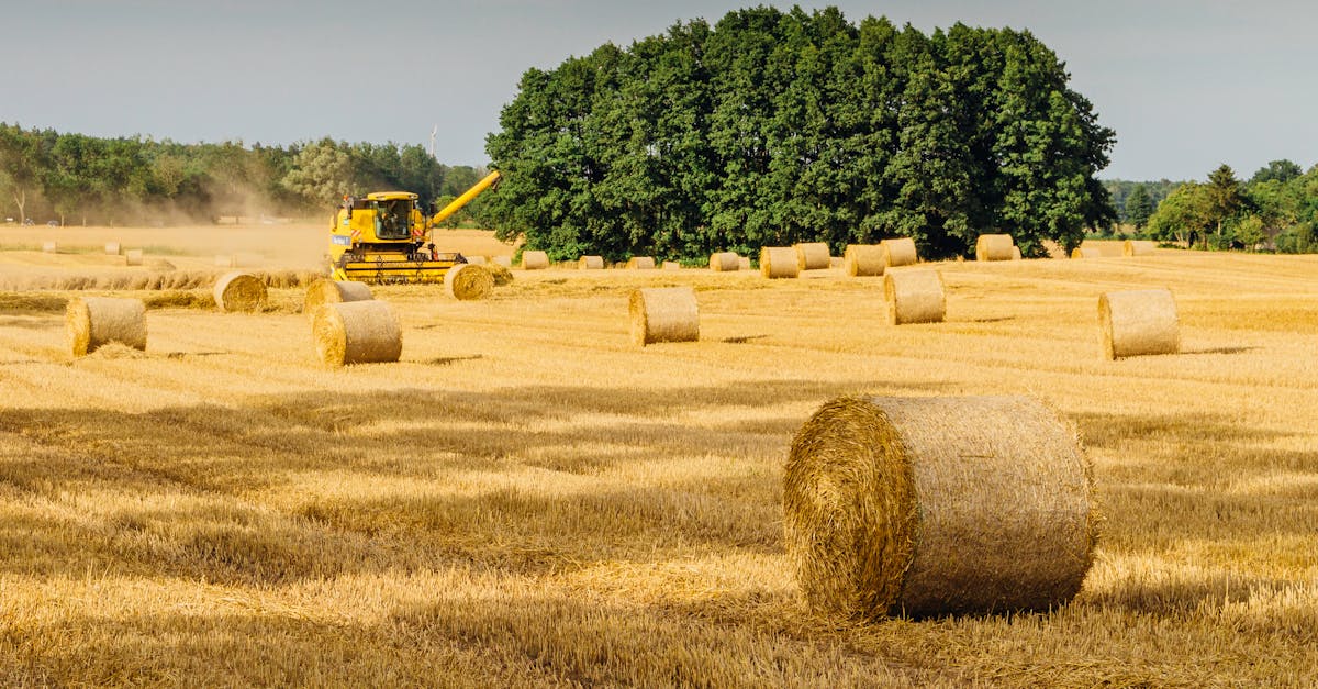 découvrez notre sélection de tracteurs puissants et fiables, idéals pour l'agriculture, le jardinage et les travaux lourds. trouvez le tractor parfait pour vos besoins.