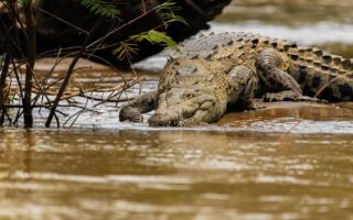 découvrez tout sur l'espionnage : techniques, histoires célèbres et mystères du monde de l'infiltration.