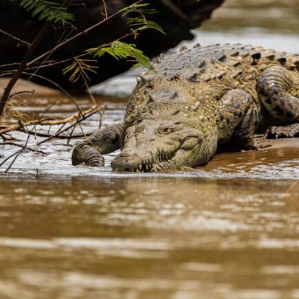 découvrez tout sur l'espionnage : techniques, histoires célèbres et mystères du monde de l'infiltration.