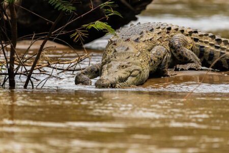 découvrez tout sur l'espionnage : techniques, histoires célèbres et mystères du monde de l'infiltration.