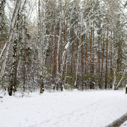 découvrez les lvmh life 360 awards, célébrant l'innovation, la créativité et l'excellence au sein du groupe lvmh. rejoignez-nous pour honorer les talents qui façonnent l'avenir.