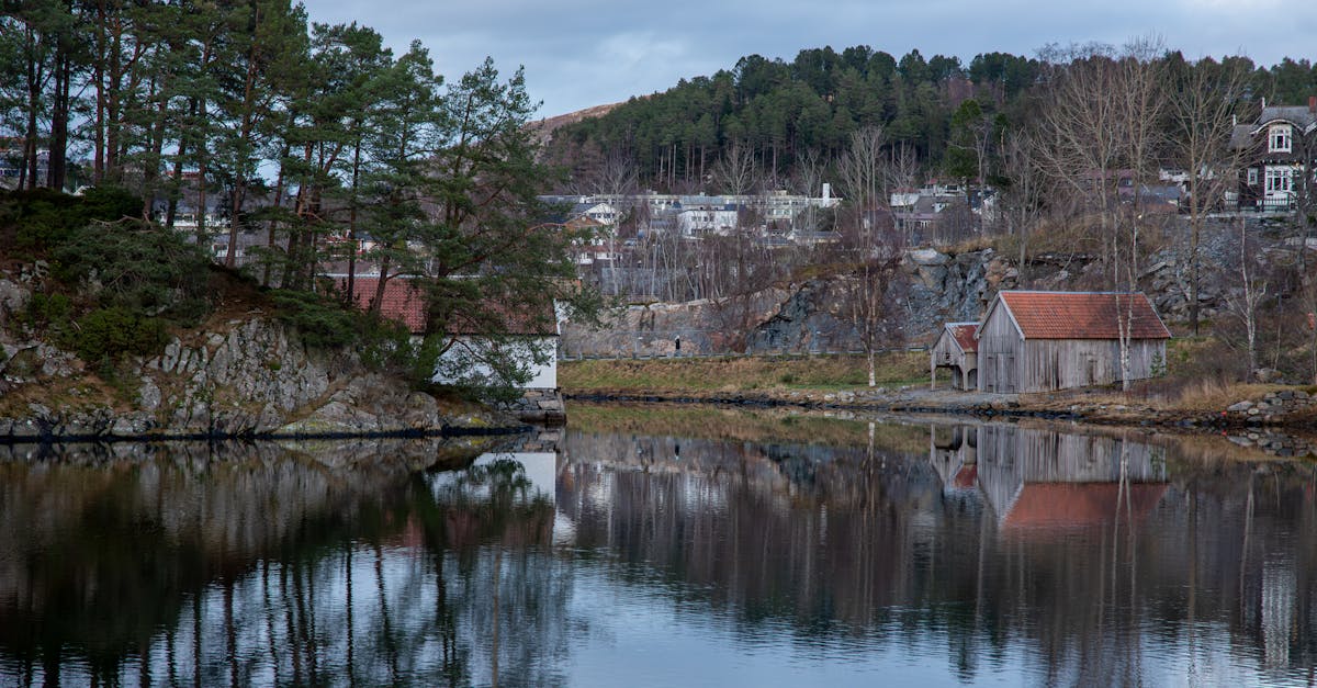 découvrez notre gamme de vans mercedes, alliant confort, performance et polyvalence pour tous vos déplacements professionnels et personnels.
