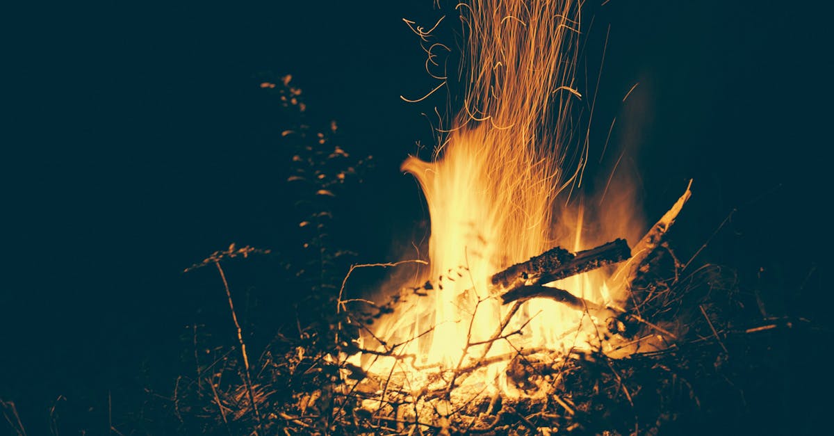découvrez l'art de la déambulation nocturne, une expérience unique pour explorer la ville sous un autre jour et ressentir la magie de la nuit.