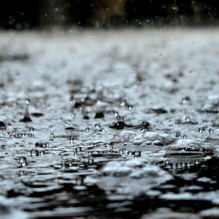 découvrez tout sur la pluie : phénomènes, impacts et conseils pour profiter des jours pluvieux.