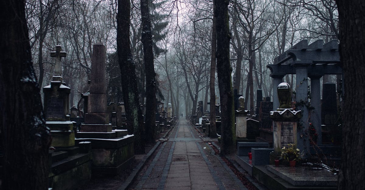 découvrez les solutions vba personnalisées à saint-nazaire pour automatiser vos tâches et optimiser vos processus professionnels efficacement.