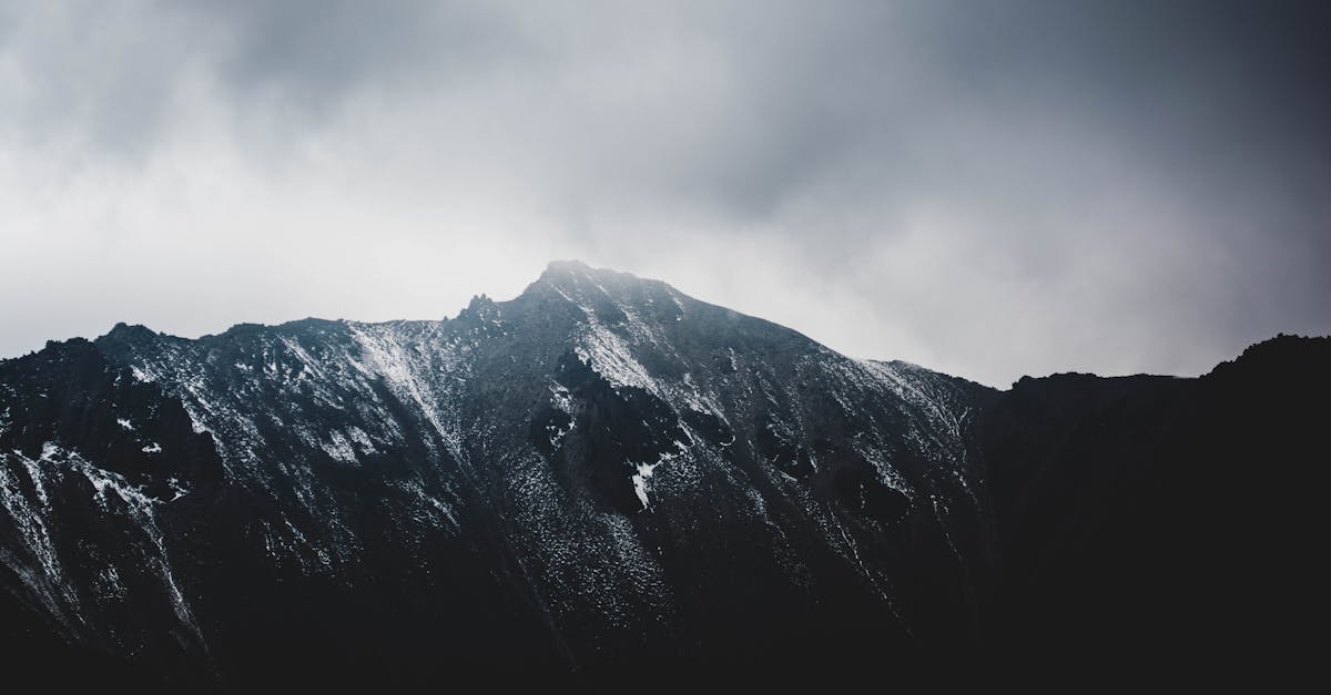 découvrez deadly winter france, une aventure intense mêlant suspense et survie dans les paysages glacés de l'hiver français.
