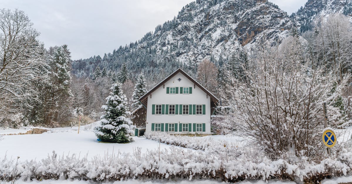 découvrez deadly winter france, une aventure palpitante mêlant suspense et survie dans les paysages glacés de l'hiver français.
