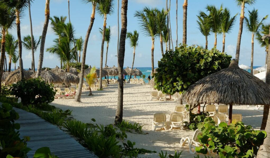 découvrez toute l'actualité et les performances de dembélé, l'attaquant talentueux connu pour sa vitesse et sa technique impressionnante sur le terrain.