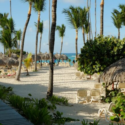 découvrez toute l'actualité et les performances de dembélé, l'attaquant talentueux connu pour sa vitesse et sa technique impressionnante sur le terrain.