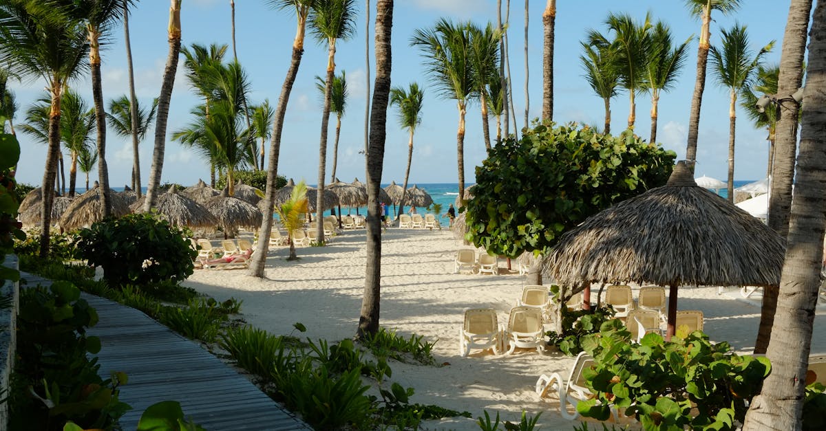 découvrez toute l'actualité et les performances de dembélé, l'attaquant talentueux connu pour sa vitesse et sa technique impressionnante sur le terrain.