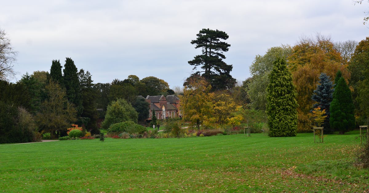 découvrez tout sur le derby, un événement sportif passionnant mettant en scène des rencontres intenses entre équipes rivales. suivez les dernières actualités, résultats et histoires autour de ces affrontements emblématiques.
