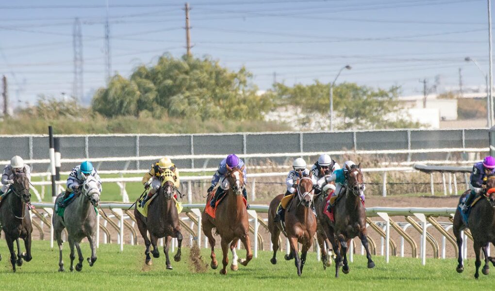 découvrez tout sur le derby : un événement sportif passionnant alliant compétition intense et ambiance festive. suivez les dernières actualités, résultats et analyses.