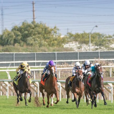 découvrez tout sur le derby : un événement sportif passionnant alliant compétition intense et ambiance festive. suivez les dernières actualités, résultats et analyses.