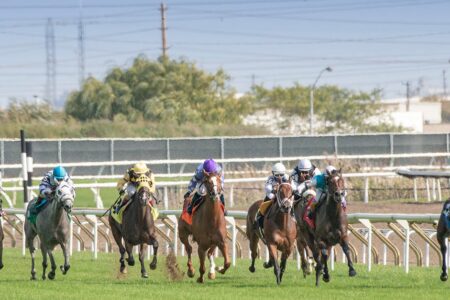 découvrez tout sur le derby : un événement sportif passionnant alliant compétition intense et ambiance festive. suivez les dernières actualités, résultats et analyses.