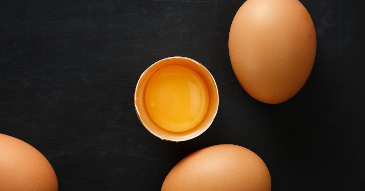 découvrez tout sur l'exceptionnelle tempête de neige : ses impacts, prévisions et conseils pour rester en sécurité durant cet événement météorologique rare.