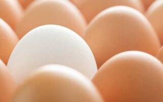 découvrez les impacts d'une tempête de neige exceptionnelle, ses effets impressionnants et les mesures à prendre pour assurer votre sécurité.