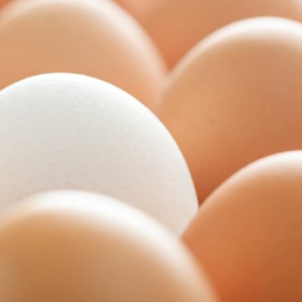 découvrez les impacts d'une tempête de neige exceptionnelle, ses effets impressionnants et les mesures à prendre pour assurer votre sécurité.