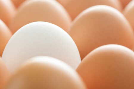 découvrez les impacts d'une tempête de neige exceptionnelle, ses effets impressionnants et les mesures à prendre pour assurer votre sécurité.