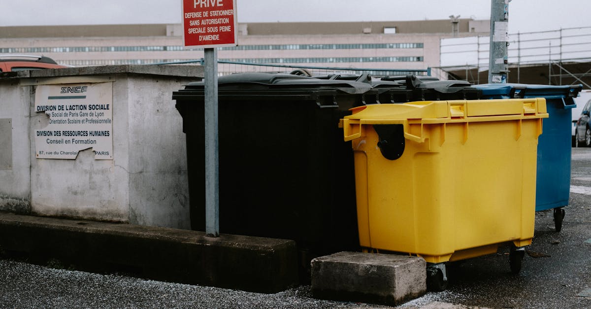 découvrez les dernières informations et résultats des élections municipales à paris, les candidats en lice et les enjeux pour la capitale.