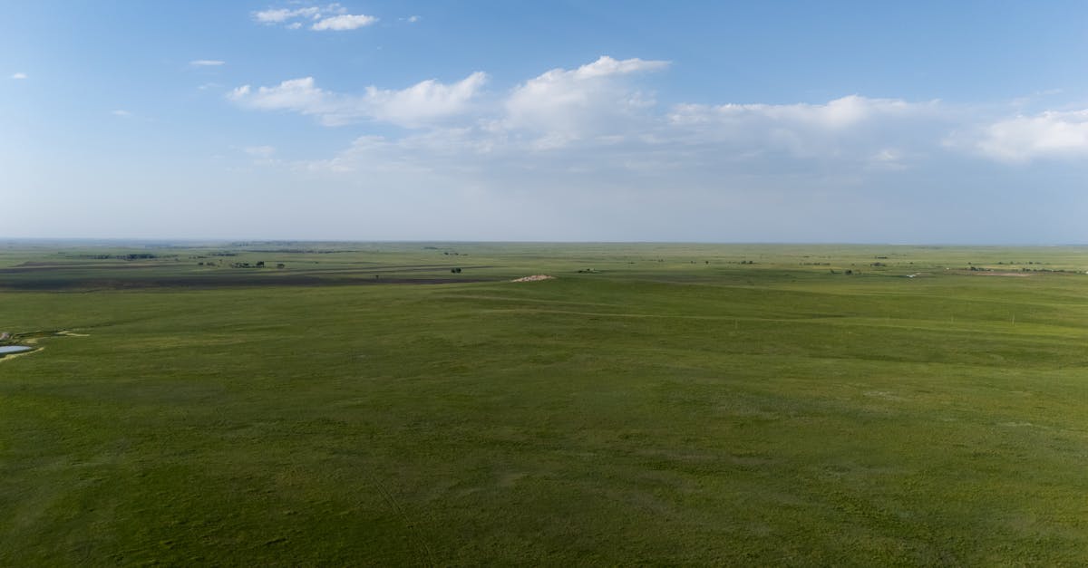 découvrez les dernières discussions et actualités sur la nouvelle-calédonie, ses enjeux politiques, économiques et culturels, pour rester informé en temps réel.