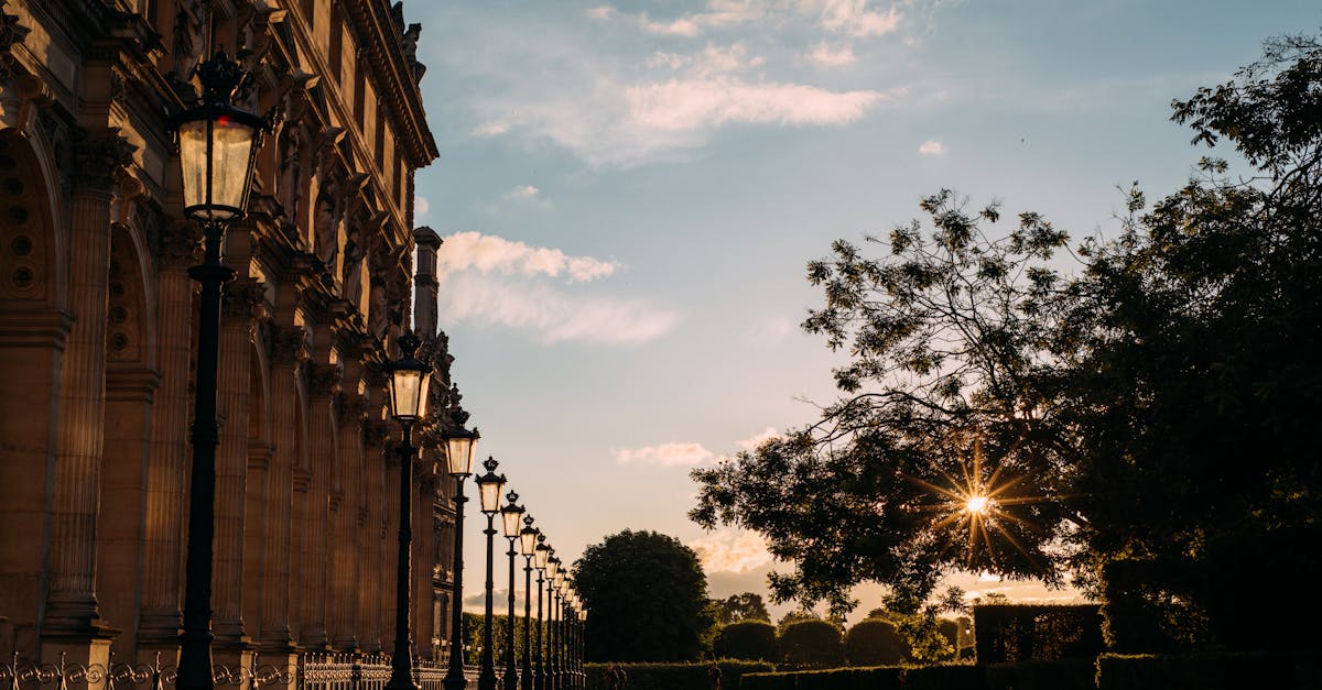 découvrez des conseils pratiques et ressources utiles pour le parenting en île-de-france, afin d'accompagner au mieux le développement et le bien-être de vos enfants.