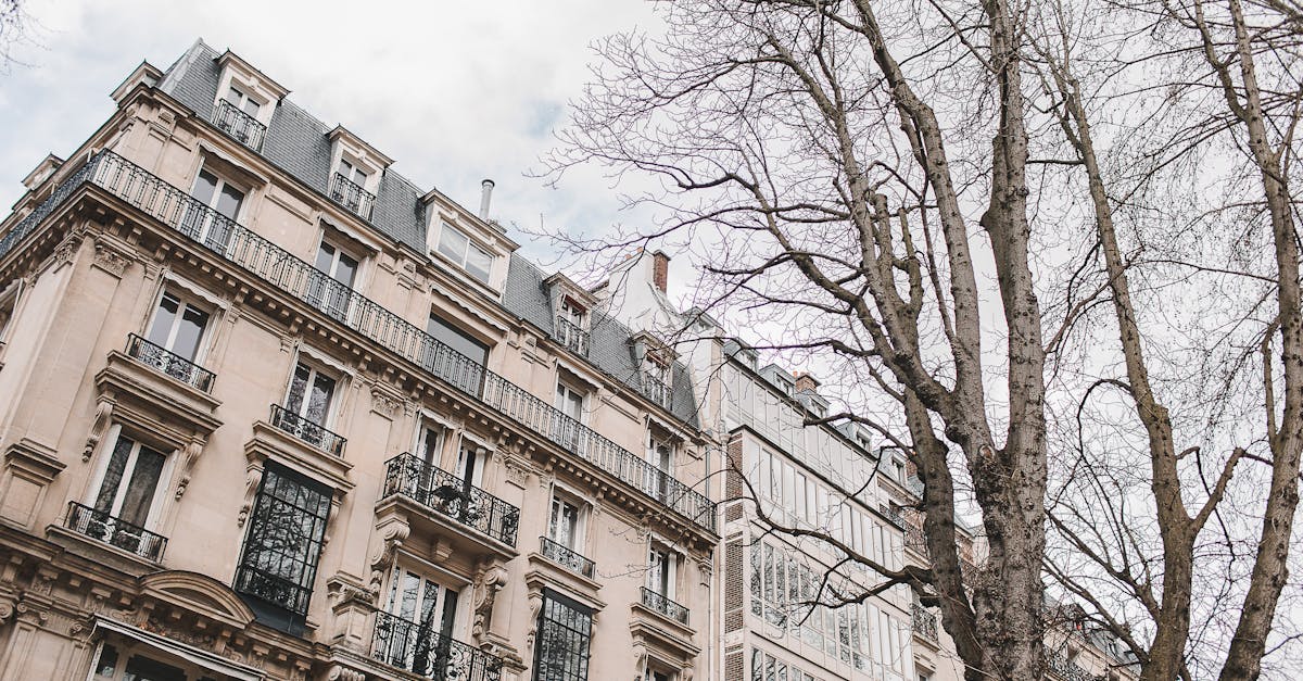 suivez en direct le match paris saint-germain vs paris fc avec les dernières mises à jour, scores en temps réel et commentaires exclusifs.