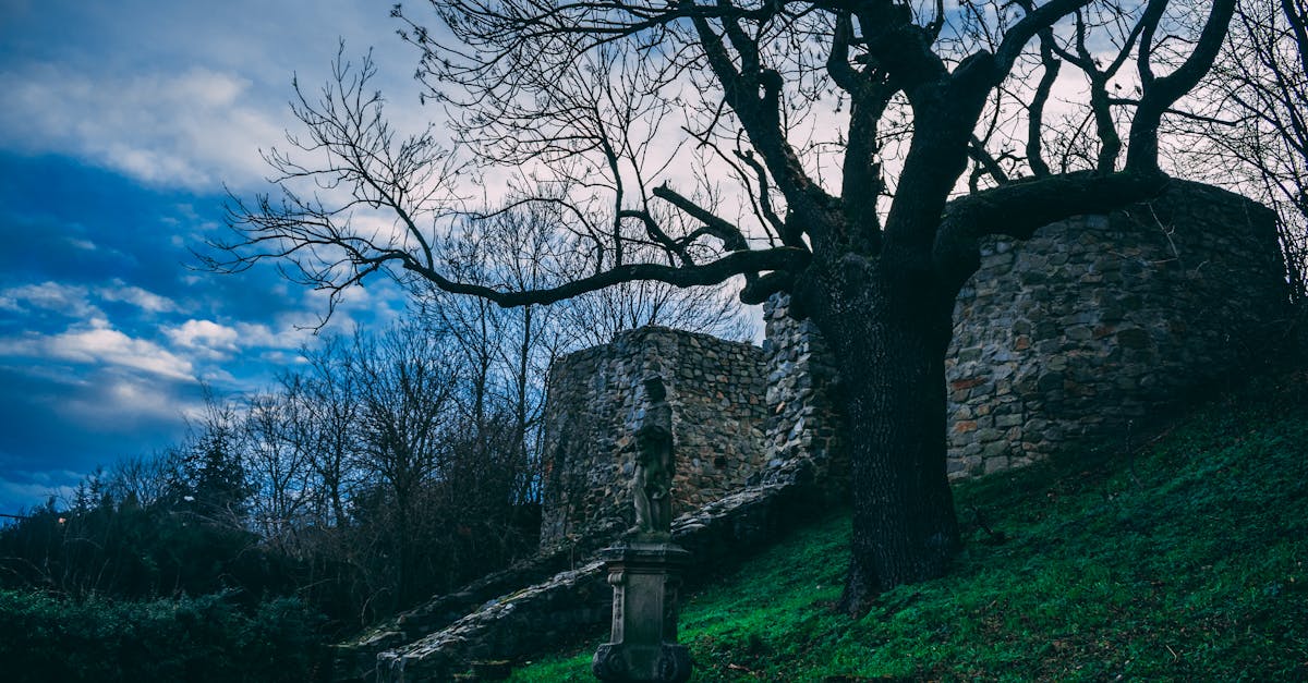 analyse des causes et conséquences du déclin démographique à travers le monde, ainsi que des solutions pour y remédier.