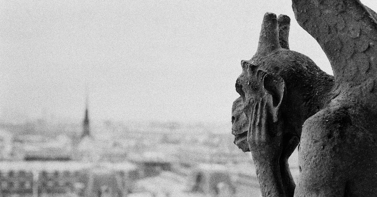 découvrez les responsabilités liées au déneigement à paris, les obligations des particuliers et des collectivités pour assurer la sécurité en cas de neige.