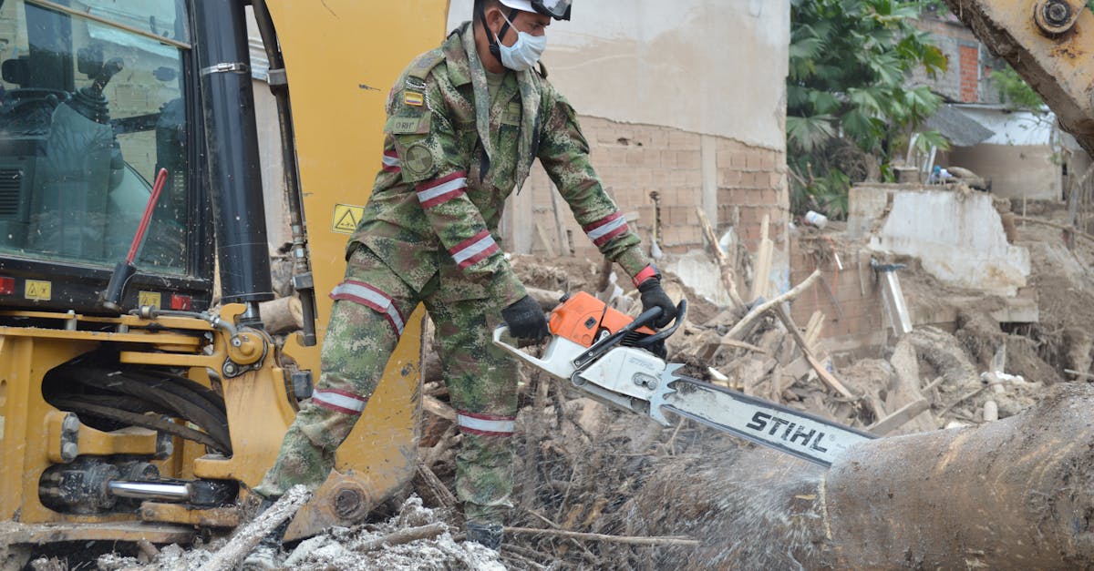 service d'intervention rapide pour l'élagage et l'abattage d'arbres, assurant sécurité et efficacité.