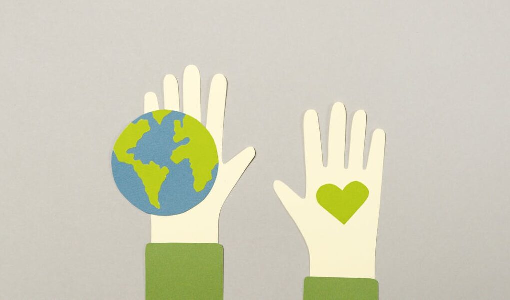 service professionnel d'abattage d'arbres rapide et sécurisé, disponible pour répondre efficacement à vos besoins de coupe d'arbres.