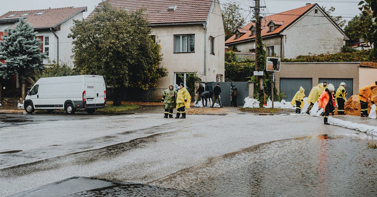 service professionnel d'élagage et d'abattage d'arbres pour assurer la sécurité et l'esthétique de vos espaces verts. intervention rapide et efficace.