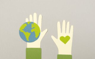 service professionnel d'abattage d'arbres rapide et sécurisé, disponible pour répondre efficacement à vos besoins de coupe d'arbres.