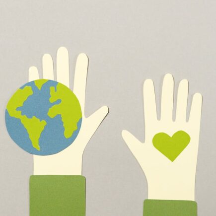 service professionnel d'abattage d'arbres rapide et sécurisé, disponible pour répondre efficacement à vos besoins de coupe d'arbres.