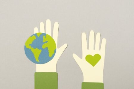 service professionnel d'abattage d'arbres rapide et sécurisé, disponible pour répondre efficacement à vos besoins de coupe d'arbres.