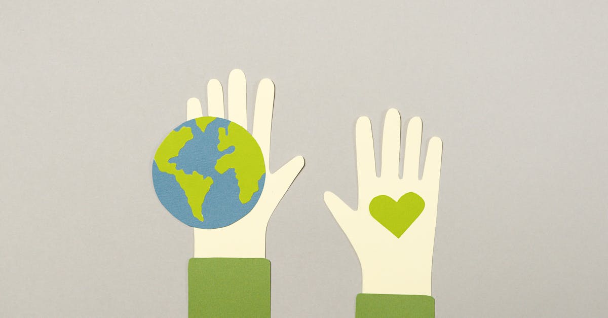 service professionnel d'abattage d'arbres rapide et sécurisé, disponible pour répondre efficacement à vos besoins de coupe d'arbres.