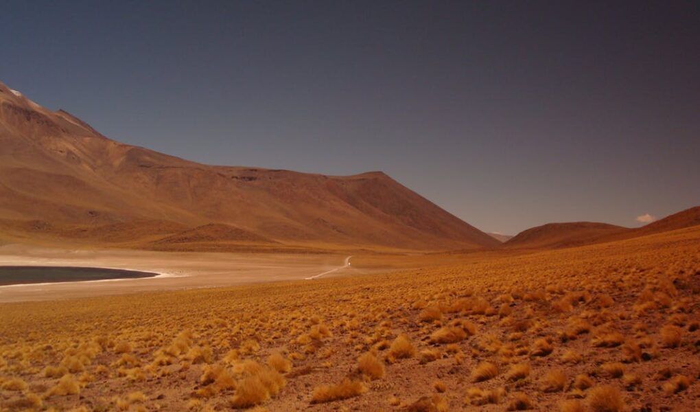 découvrez notre hommage sincère et émouvant dans ce tribute, célébrant avec respect et passion les personnes et moments qui nous inspirent.