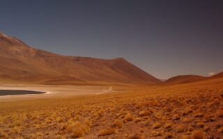 découvrez notre hommage sincère et émouvant dans ce tribute, célébrant avec respect et passion les personnes et moments qui nous inspirent.
