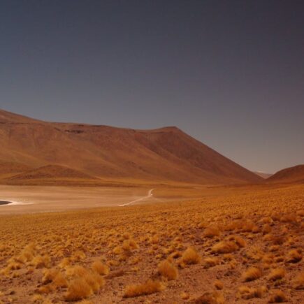 découvrez notre hommage sincère et émouvant dans ce tribute, célébrant avec respect et passion les personnes et moments qui nous inspirent.