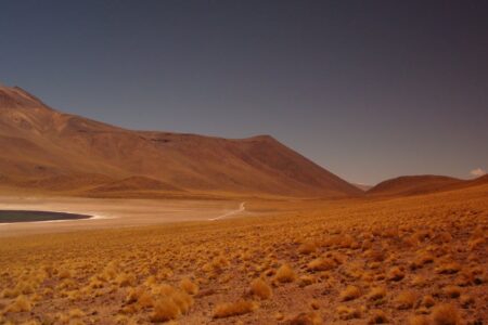découvrez notre hommage sincère et émouvant dans ce tribute, célébrant avec respect et passion les personnes et moments qui nous inspirent.