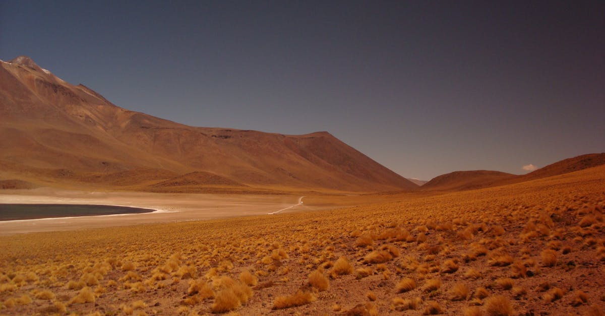 découvrez notre hommage sincère et émouvant dans ce tribute, célébrant avec respect et passion les personnes et moments qui nous inspirent.