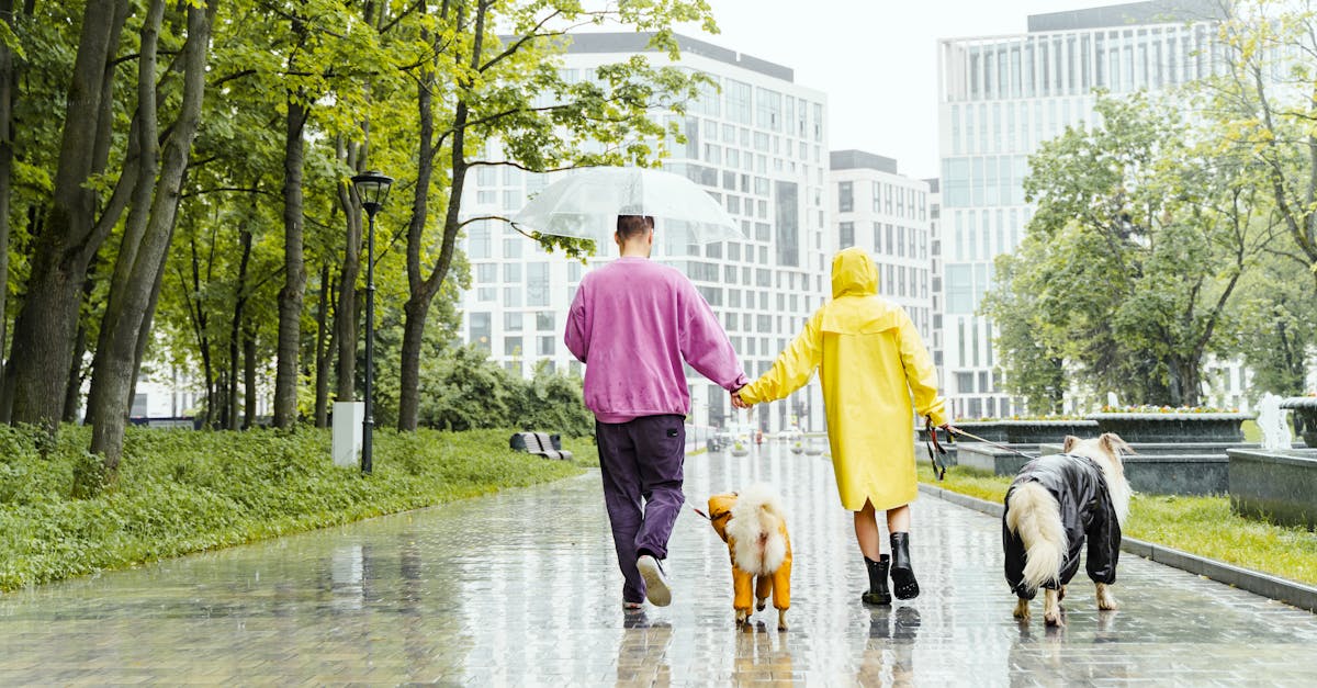 prévisions météo du weekend : consultez les températures, pluies et conditions pour bien planifier vos activités en plein air.