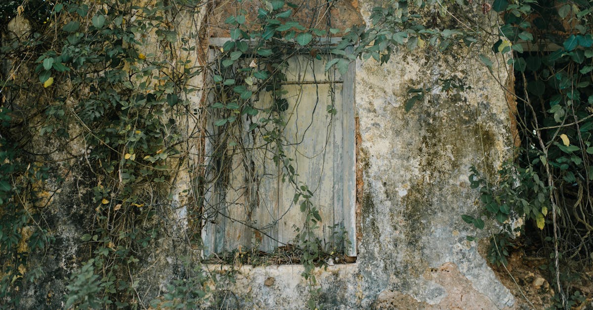 découvrez emmanuel grégoire, homme politique engagé, son parcours, ses actions et ses contributions à la vie publique.