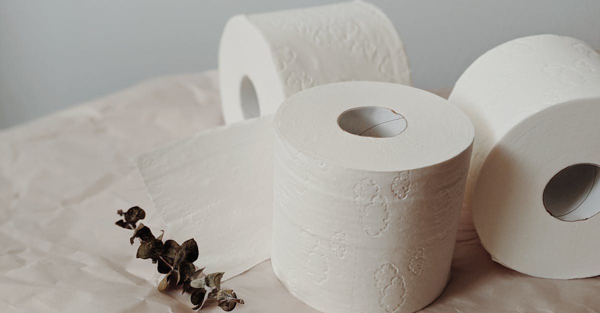 découvrez les activités essentielles pour enrichir votre quotidien et améliorer votre bien-être général.