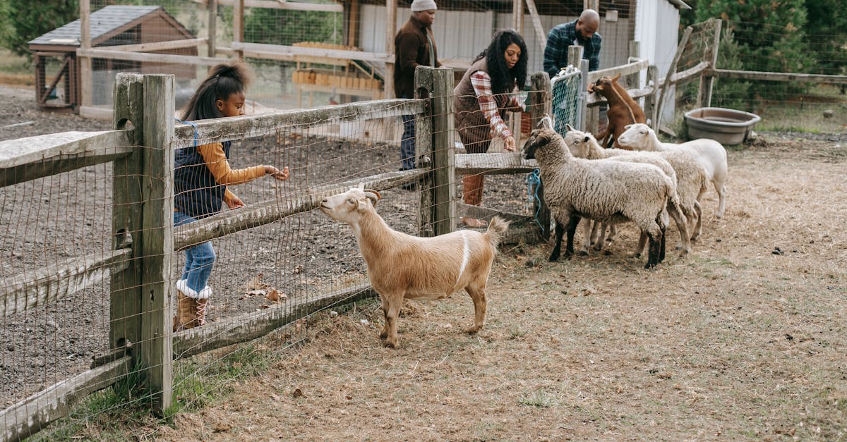 découvrez des activités familiales passionnantes à paris pour un week-end de février inoubliable. profitez de sorties adaptées à tous les âges, entre culture, jeux et découvertes.