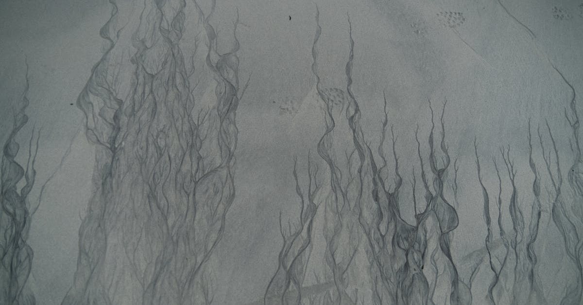 découvrez tout ce que vous devez savoir sur le hoarding : causes, symptômes, impacts et solutions pour mieux comprendre et agir face à ce trouble du comportement.