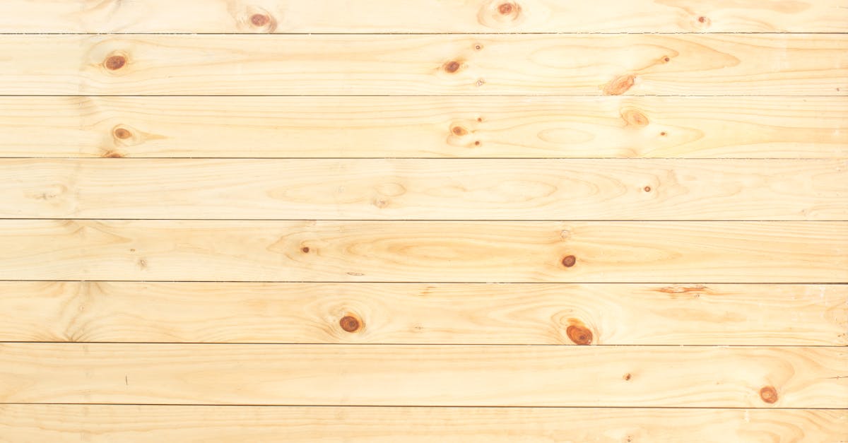 découvrez tout ce qu'il faut savoir sur le hoarding : causes, symptômes et solutions pour mieux comprendre et gérer ce trouble d'accumulation compulsive.