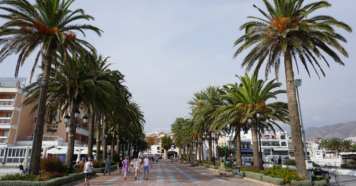 découvrez le boulevard de malesherbes, une avenue emblématique offrant un cadre agréable pour vos promenades, commerces et détente au cœur de la ville.